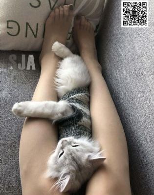 91国语对白爽死我了第30集_DVDBD在线观看